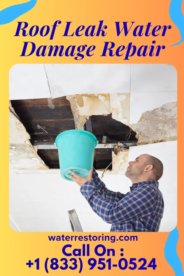 Roof Leak Water Damage Repair in Old Appleton, MO